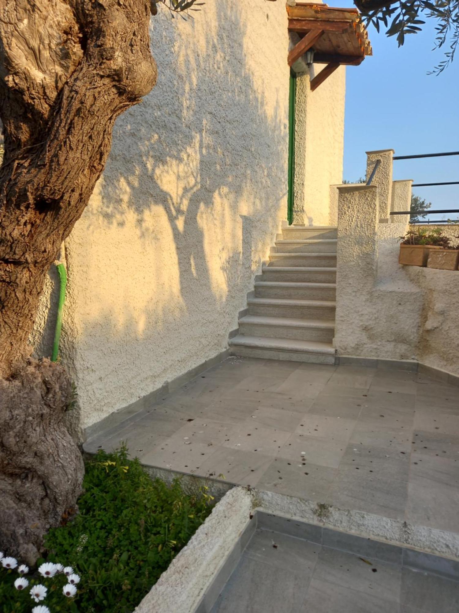 Casa Leonardo *