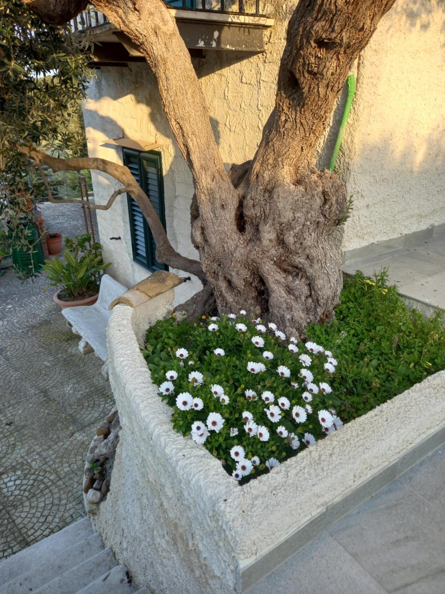 Casa Leonardo Appartamento *
